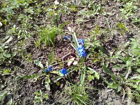 450x338  99 KB. Big one: 1280x960  559 KB