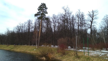 450x253  45 KB. Big one: 3264x1836  1469 KB