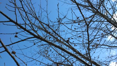 449x252  85 KB. Big one: 3920x2204  3227 KB