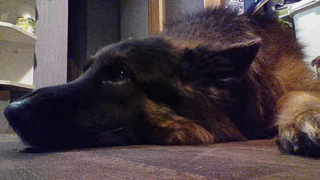 449x253  46 KB. Big one: 1280x720  494 KB