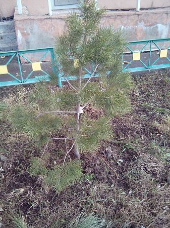 337x450  62 KB. Big one: 3072x4096  3492 KB