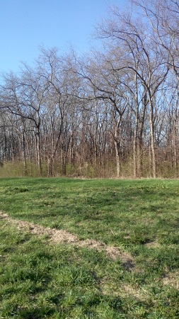 253x450  109 KB. Big one: 2304x4096  2996 KB