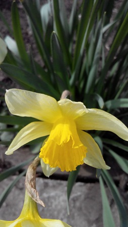 253x450  78 KB. Big one: 2304x4096  1854 KB