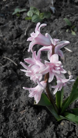 253x450  87 KB. Big one: 2304x4096  1905 KB