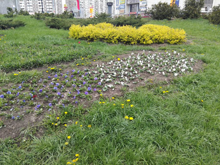 450x338  72 KB. Big one: 4160x3120  8580 KB