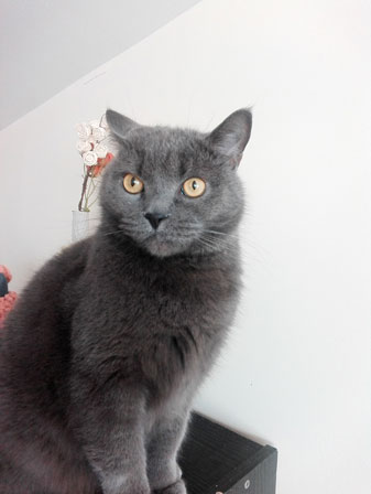 337x448  19 KB. Big one: 1952x2592  2100 KB