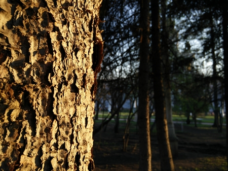 450x337  193 KB. Big one: 8160x6120  10710 KB