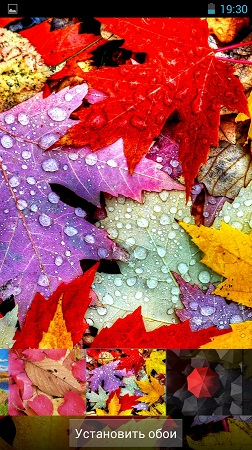 252x450  330 KB. Big one: 843x1500  3380 KB