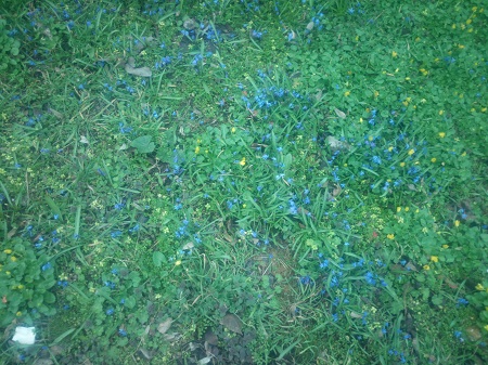 450x337  161 KB. Big one: 4160x3120  3491 KB