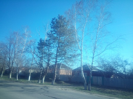 450x337  119 KB. Big one: 4160x3120  2944 KB