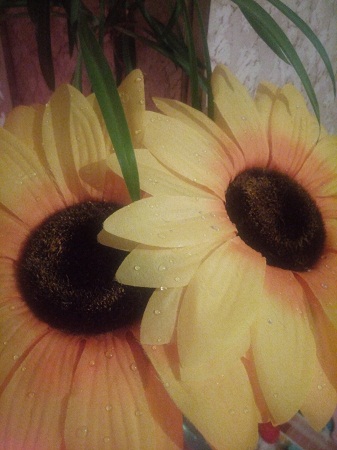 337x450  109 KB. Big one: 3120x4160  2577 KB