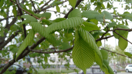 449x253  50 KB. Big one: 3072x1728  1322 KB