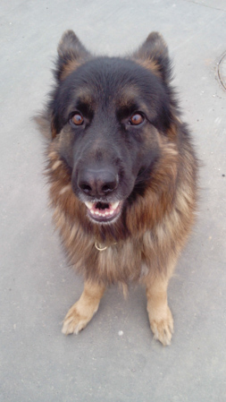 253x449  60 KB. Big one: 1728x3072  1180 KB