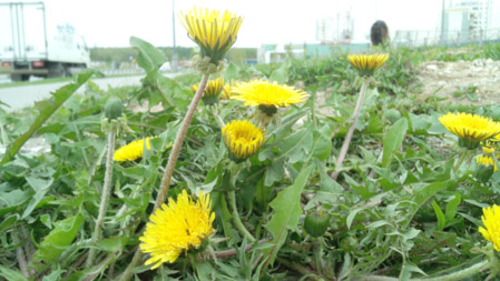 449x253  57 KB. Big one: 3072x1728  1421 KB