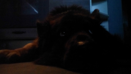 449x253  49 KB. Big one: 1792x1008  264 KB