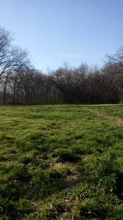 253x450  94 KB. Big one: 2304x4096  2430 KB