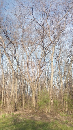 253x450  119 KB. Big one: 1440x2560  1987 KB