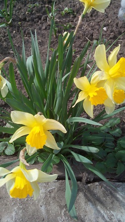 253x450  107 KB. Big one: 1440x2560  1168 KB