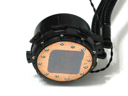 450x338  40 KB. Big one: 1500x1125  472 KB