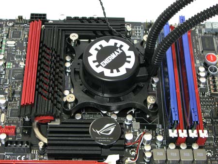 450x338  70 KB. Big one: 1500x1125  469 KB