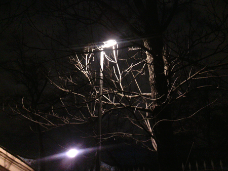 450x338  178 KB. Big one: 2592x1944  1715 KB