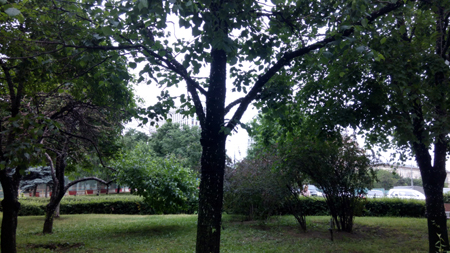 450x253  176 KB. Big one: 4608x2592  1830 KB