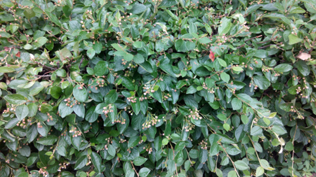 450x253  212 KB. Big one: 4608x2592  1932 KB