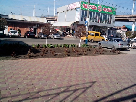 450x337  100 KB. Big one: 3264x2448  1766 KB