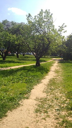 253x450  65 KB. Big one: 2340x4160  2858 KB