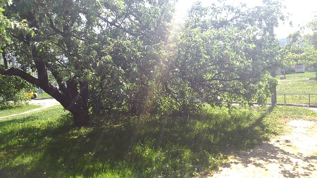 450x253  67 KB. Big one: 4160x2340  2334 KB