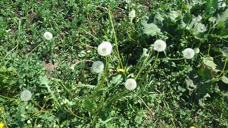 450x253  93 KB. Big one: 4160x2340  3234 KB