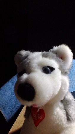 253x450  28 KB. Big one: 720x1280  112 KB