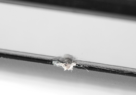 449x313  53 KB. Big one: 1499x1045  497 KB