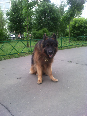 337x449  53 KB. Big one: 1920x2560  1587 KB