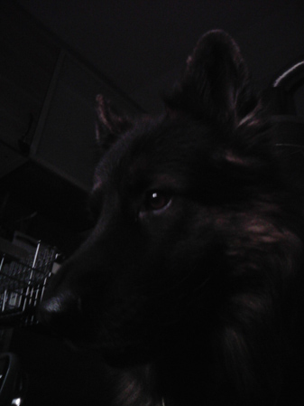 337x449  44 KB. Big one: 1200x1600  299 KB