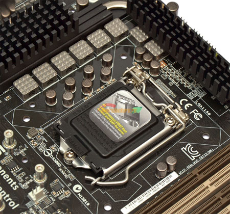 450x420  113 KB. Big one: 1500x1401  471 KB