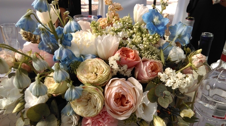 450x252  167 KB. Big one: 4224x2368  3659 KB