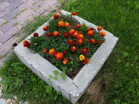 450x338  236 KB. Big one: 4160x3120  7283 KB