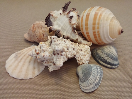 450x338  143 KB. Big one: 4160x3120  3988 KB