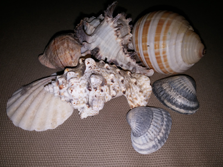 450x338  149 KB. Big one: 4160x3120  4996 KB