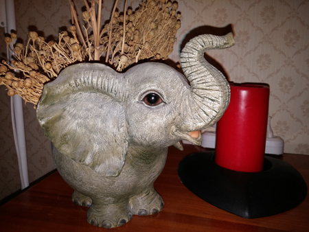 450x338  147 KB. Big one: 4160x3120  5173 KB