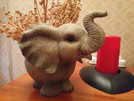 450x338  139 KB. Big one: 4160x3120  3419 KB