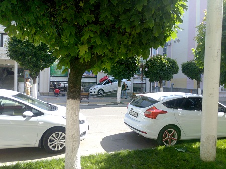 450x337  124 KB. Big one: 4928x3696  3513 KB