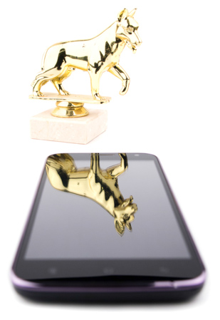 309x449  47 KB. Big one: 1031x1499  492 KB