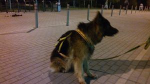 300x169  13 KB. Big one: 3328x1872  1841 KB