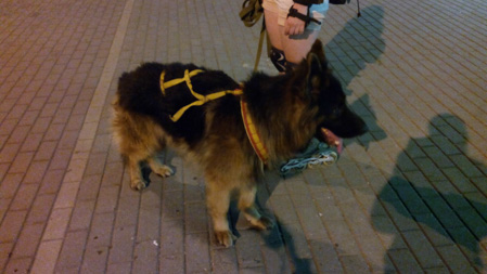 449x253  51 KB. Big one: 3328x1872  1843 KB