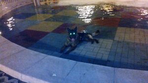 300x169  14 KB. Big one: 3328x1872  2662 KB