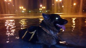 300x169  15 KB. Big one: 3328x1872  1917 KB