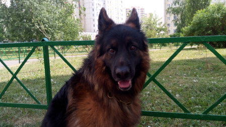 449x253  55 KB. Big one: 3328x1872  2080 KB