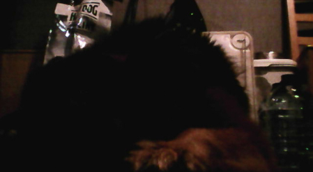 449x247  51 KB. Big one: 640x352  65 KB